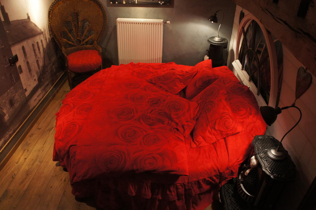 Bed and Breakfast Aux Logis De La Solre Ferrière-la-Petite Pokój zdjęcie